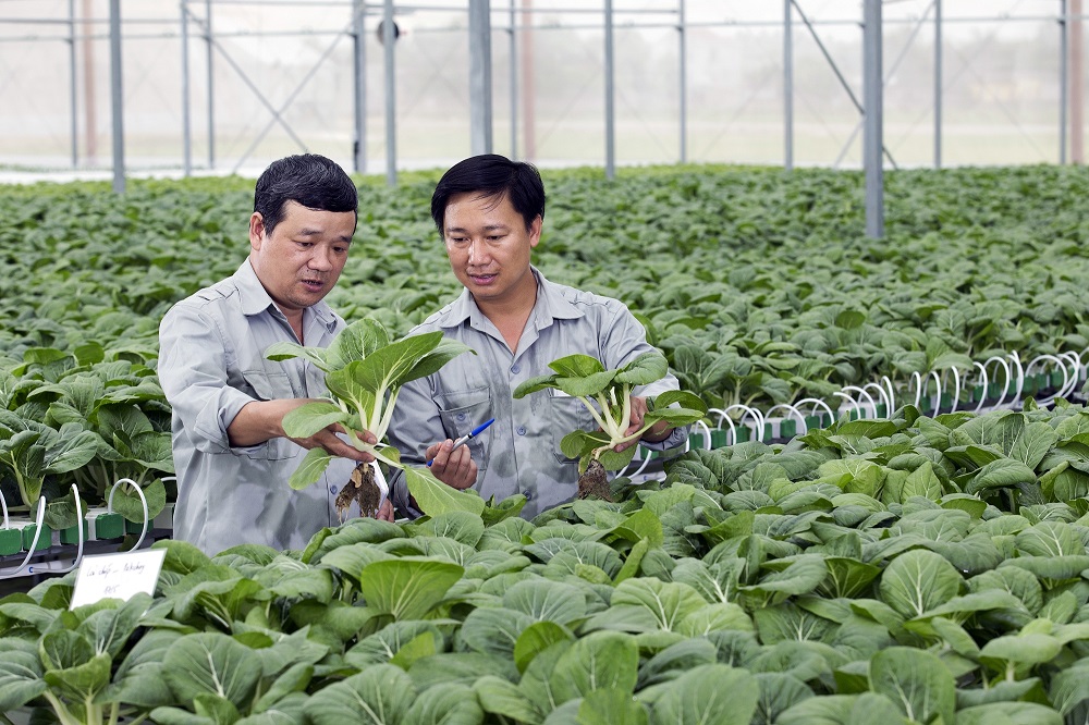EVFTA mở ra tiềm năng lớn đối với nông nghiệp hữu cơ